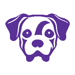 Watch my SSL (dev) logo